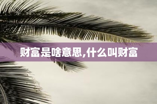 财富是啥意思,什么叫财富