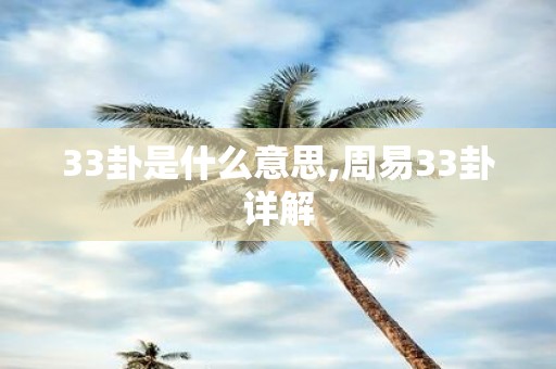 33卦是什么意思,周易33卦详解
