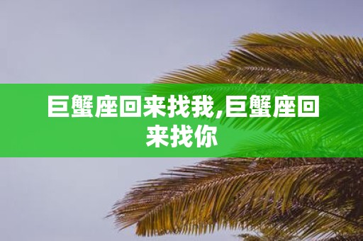 巨蟹座回来找我,巨蟹座回来找你