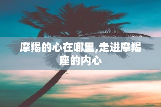 摩羯的心在哪里,走进摩羯座的内心