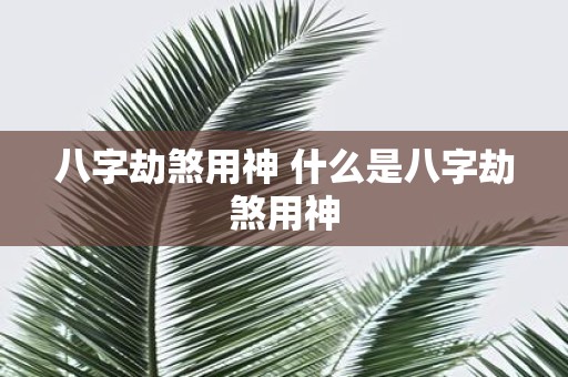 八字劫煞用神 什么是八字劫煞用神