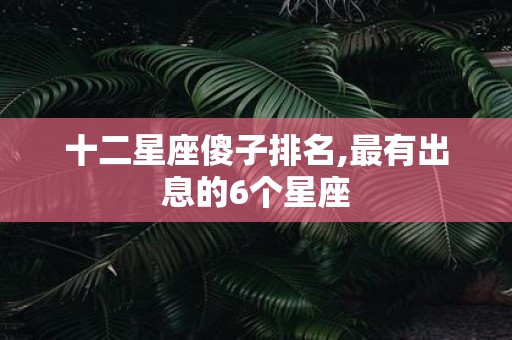十二星座傻子排名,最有出息的6个星座