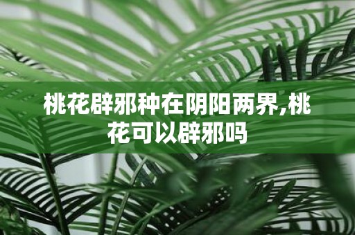 桃花辟邪种在阴阳两界,桃花可以辟邪吗