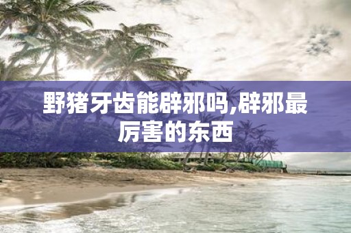 野猪牙齿能辟邪吗,辟邪最厉害的东西