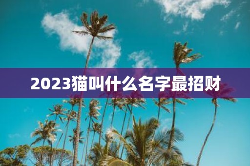 2025猫叫什么名字最招财