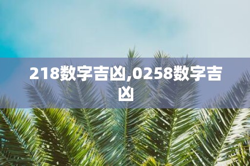 218数字吉凶,0258数字吉凶