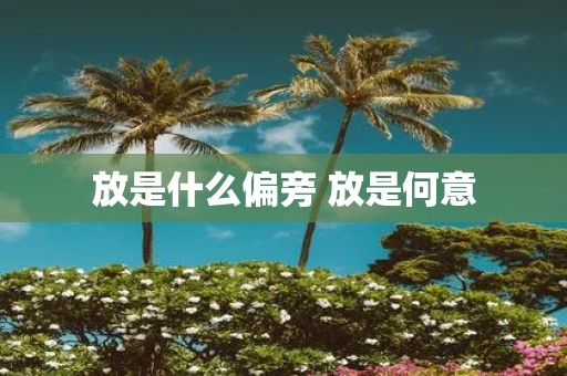 放是什么偏旁 放是何意