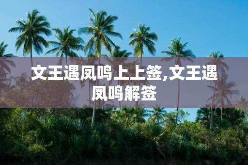 文王遇凤鸣上上签,文王遇凤鸣解签