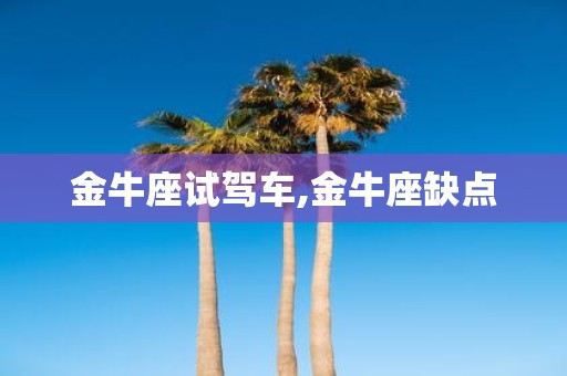 金牛座试驾车,金牛座缺点