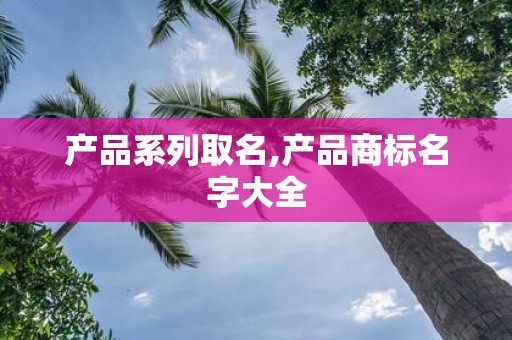 产品系列取名,产品商标名字大全