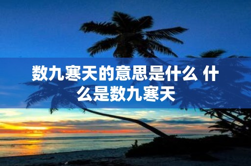 数九寒天的意思是什么 什么是数九寒天