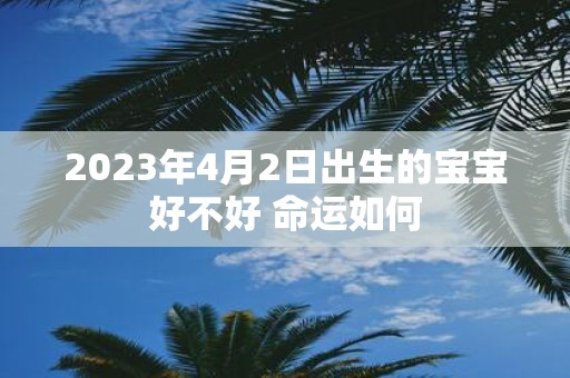 2025年4月2日出生的宝宝好不好 命运如何