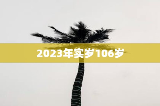 2025年实岁106岁