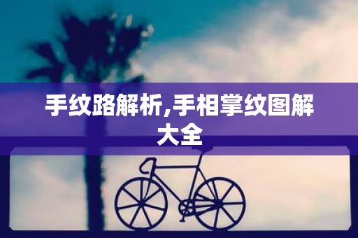 手纹路解析,手相掌纹图解大全
