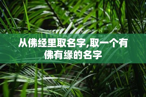 从佛经里取名字,取一个有佛有缘的名字