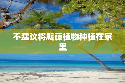 不建议将爬藤植物种植在家里