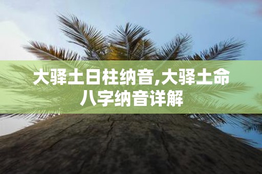 大驿土日柱纳音,大驿土命八字纳音详解