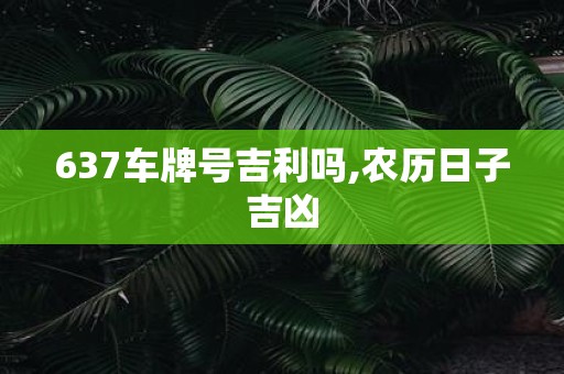 637车牌号吉利吗,农历日子吉凶