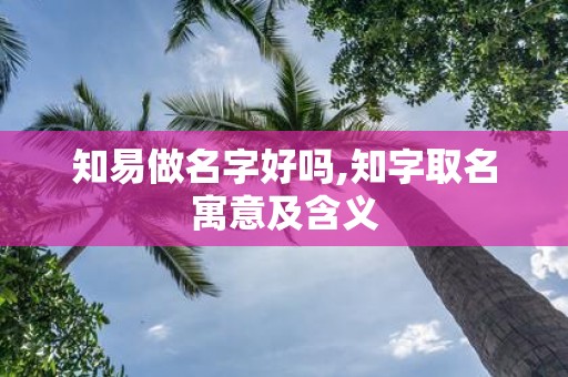 知易做名字好吗,知字取名寓意及含义