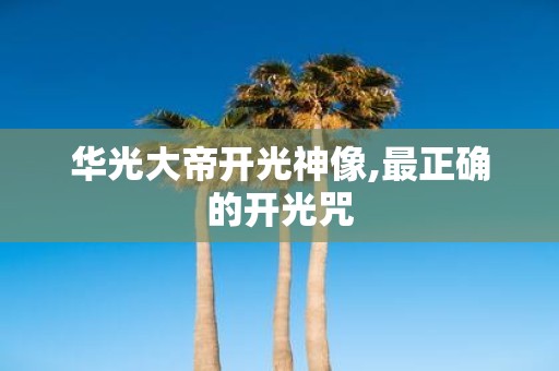 华光大帝开光神像,最正确的开光咒
