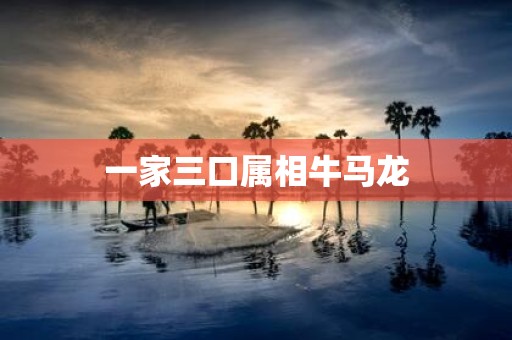 一家三口属相牛马龙