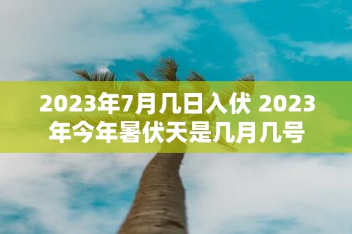 2025年7月几日入伏 2025年今年暑伏天是几月几号