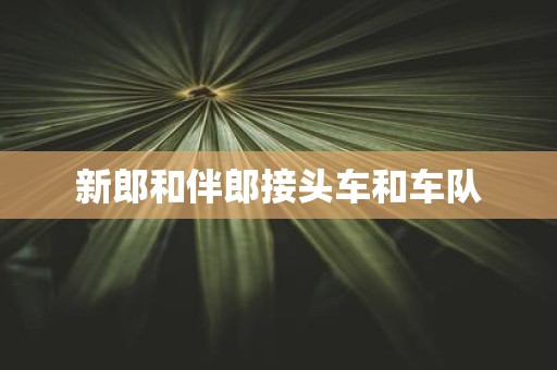 新郎和伴郎接头车和车队