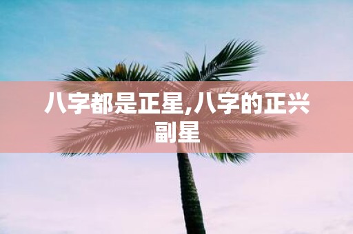 八字都是正星,八字的正兴副星