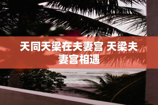 天同天梁在夫妻宫 天梁夫妻宫相遇