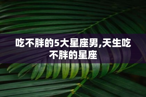 吃不胖的5大星座男,天生吃不胖的星座