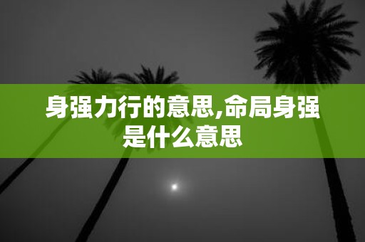 身强力行的意思,命局身强是什么意思