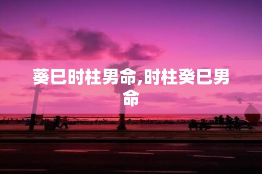 葵巳时柱男命,时柱癸巳男命