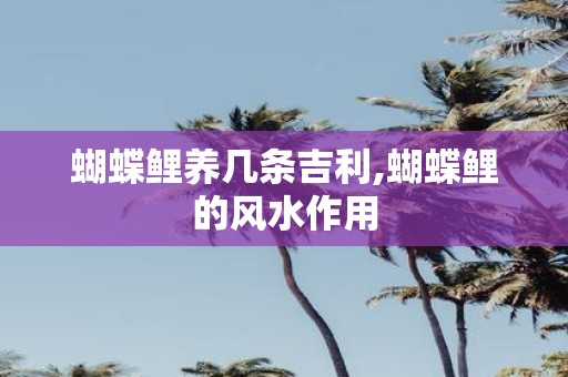 蝴蝶鲤养几条吉利,蝴蝶鲤的风水作用