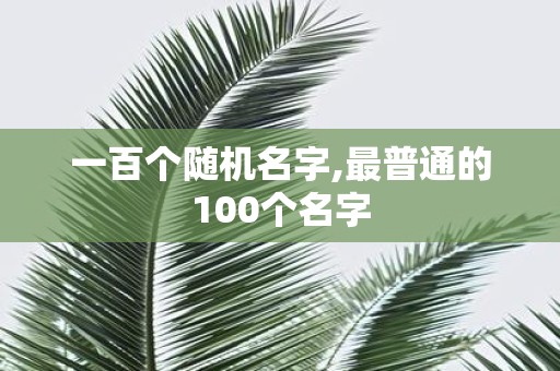一百个随机名字,最普通的100个名字