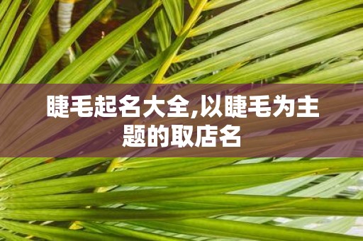 睫毛起名大全,以睫毛为主题的取店名
