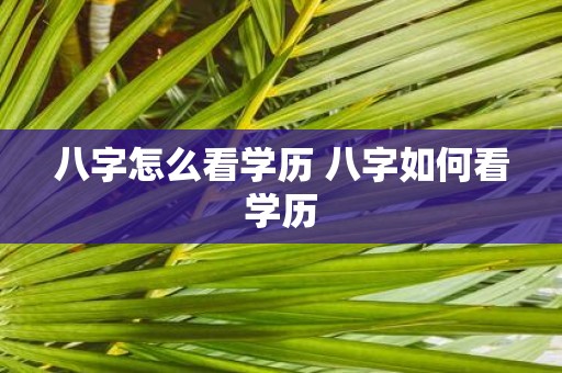 八字怎么看学历 八字如何看学历