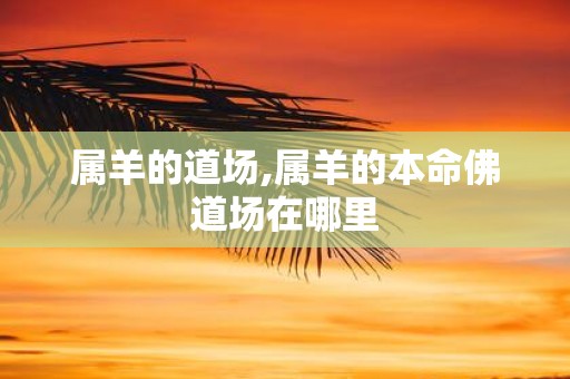 属羊的道场,属羊的本命佛道场在哪里