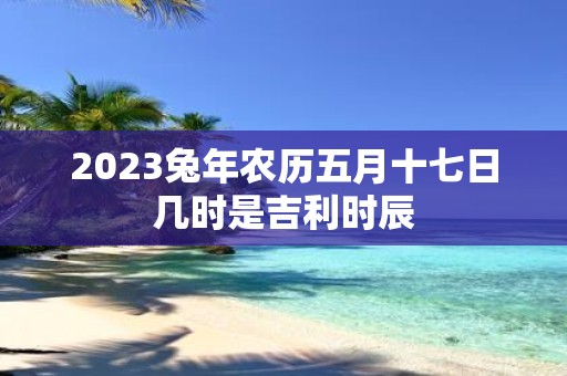 2025蛇年农历五月十七日几时是吉利时辰