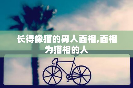 长得像猫的男人面相,面相为猫相的人