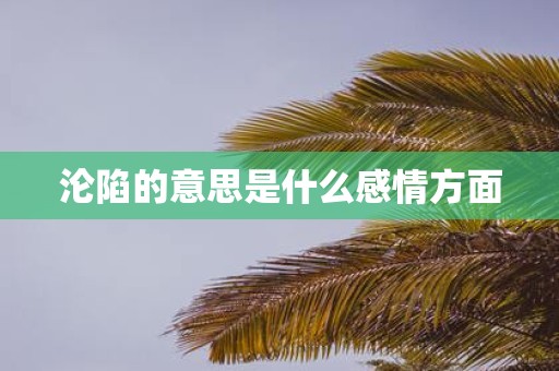沦陷的意思是什么感情方面