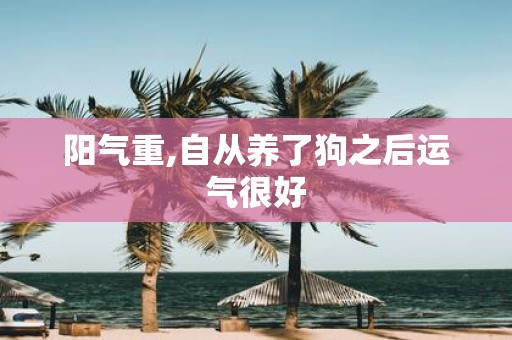 阳气重,自从养了狗之后运气很好