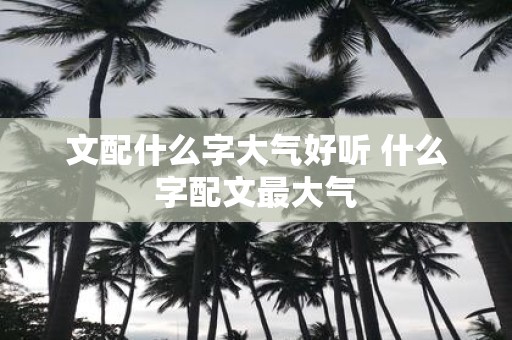文配什么字大气好听 什么字配文最大气