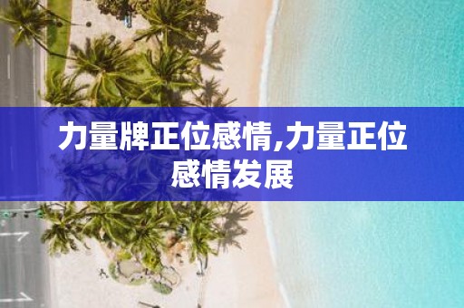 力量牌正位感情,力量正位感情发展