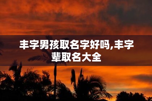 丰字男孩取名字好吗,丰字辈取名大全