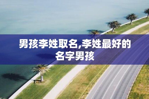 男孩李姓取名,李姓最好的名字男孩