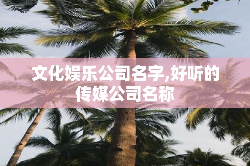 文化娱乐公司名字,好听的传媒公司名称