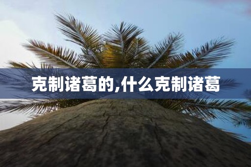 克制诸葛的,什么克制诸葛