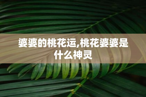 婆婆的桃花运,桃花婆婆是什么神灵