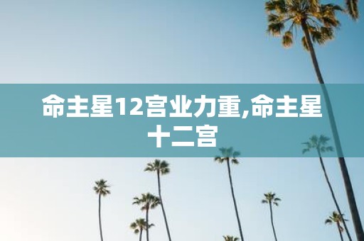命主星12宫业力重,命主星十二宫