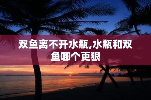 双鱼离不开水瓶,水瓶和双鱼哪个更狠
